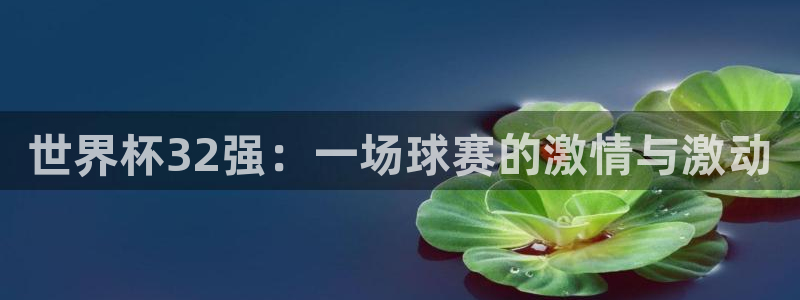世界杯预选赛亚洲区赛程:世界杯32强:一场球赛的激情与激动
