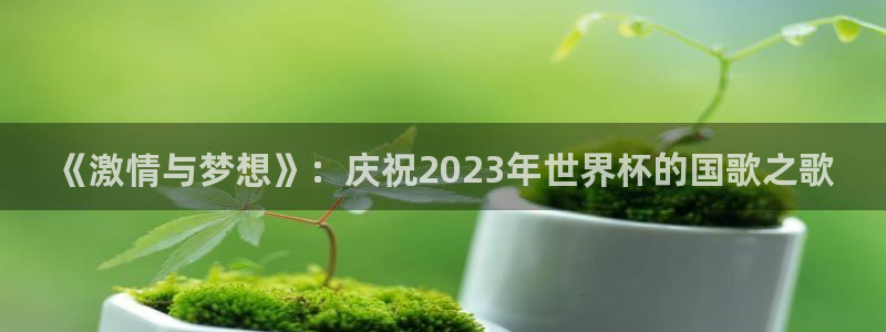 2026世界杯欧洲预选赛赛程表:《激情与梦想》:庆祝2023年世界杯的国歌之歌