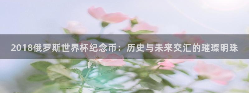 世界杯48支球队赛制:2018俄罗斯世界杯纪念币:历史与未来交汇的璀璨明珠
