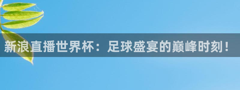 2026 世界杯:新浪直播世界杯:足球盛宴的巅峰时刻!