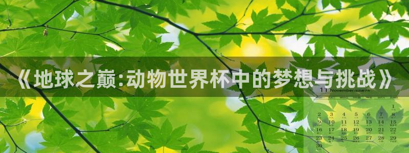 世预赛赛程表:《地球之巅:动物世界杯中的梦想与挑战》