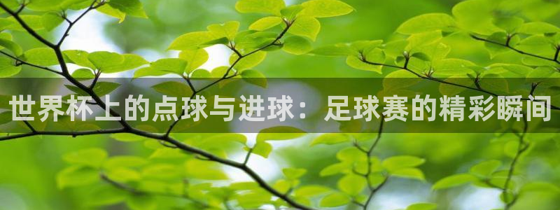 世界杯直播平台:世界杯上的点球与进球:足球赛的精彩瞬间